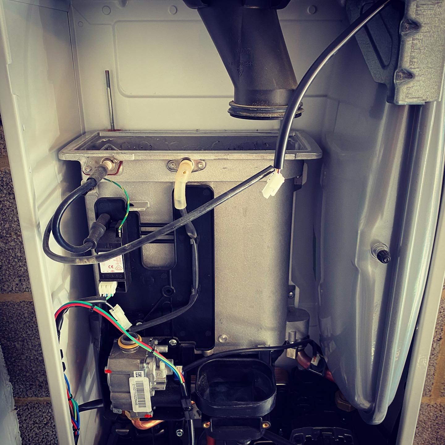 Inside an open boiler showing the flue duct, fan housing and wiring